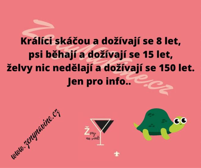 #zenynavine #zenynavinejsouznacka #zenynavineofficial