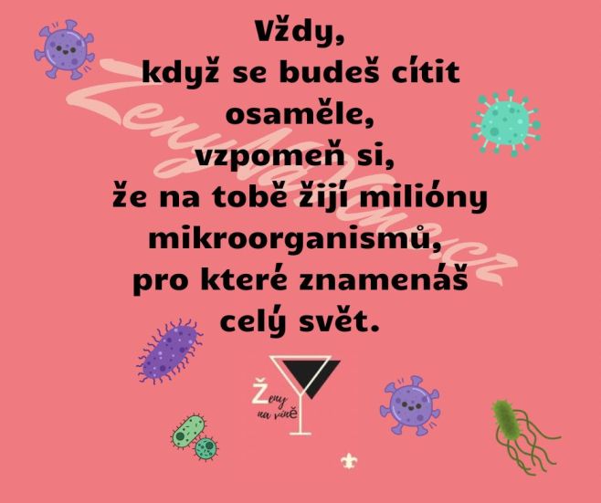 #zenynavine #zenynavineofficial #zenynavinejsouznacka