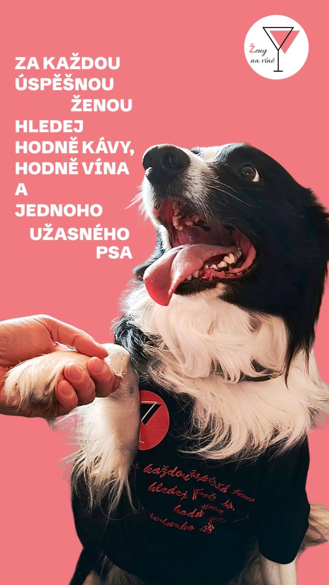Milé Ženy na víně, dodržely jsme slovo a máme tu pro Vás nová trika 🥰 A nemohl Vám je představit nikdo jiný než jeden...