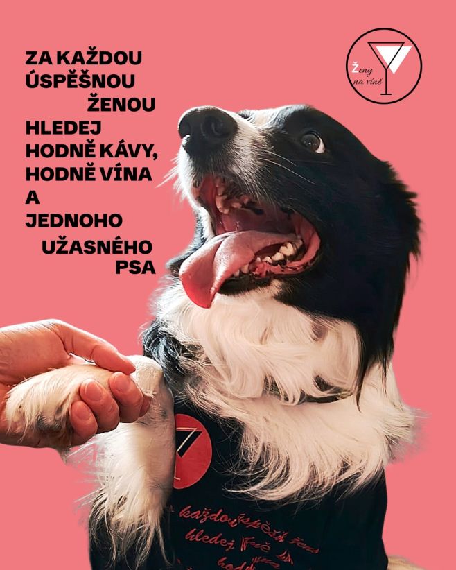 Milé Ženy na víně, trička pro Vás máme v prodeji 🥰 Mrkněte do našeho obchodu a třeba se Vám zalíbí i něco jiného 😘 ZDE:...